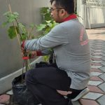 PANEN HASIL KEBUN DAN KERJA BAKTI SAMBUT KEMERDEKAAN 80TH RI DI KELURAHAN KEJURON
